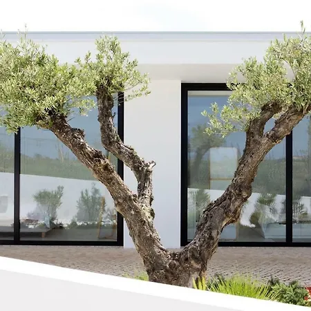 Chafariz Holiday home *